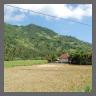 Kleine Reisfarm auf Lombok